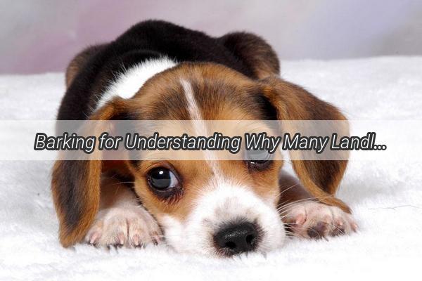 Barking for Understanding Why Many Landlords Say No to Canines and How to Win Them Over